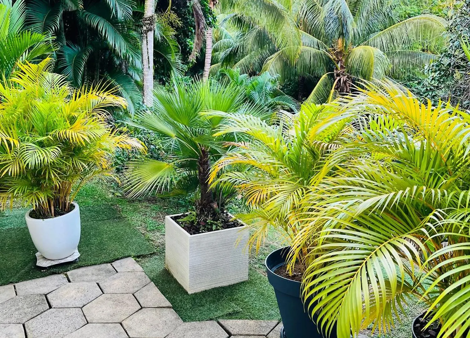 Appartement Le Hameau De La Vallée Schoelcher Martinique